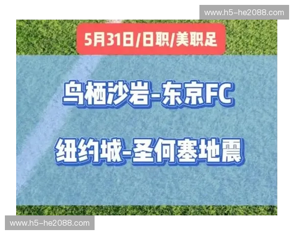 甲府风林与鸟栖沙岩：一场日职联的绿茵绝唱，情感与荣耀的交织